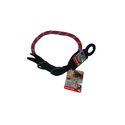 Ascent Collar